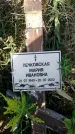 Захоронение ID 1323625