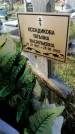 Захоронение ID 1323646