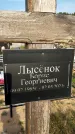 Захоронение ID 1323687