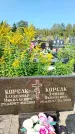 Захоронение ID 1323753