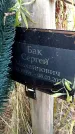 Захоронение ID 1323775