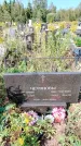 Захоронение ID 1323949