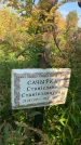 Захоронение ID 1324052
