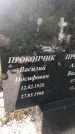 Захоронение ID 1324398