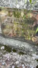 Захоронение ID 1324622