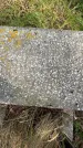 Захоронение ID 1324697