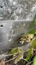 Захоронение ID 1324855