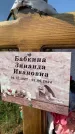 Захоронение ID 1325129