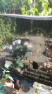 Захоронение ID 1326865