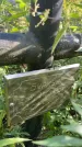 Захоронение ID 1326929