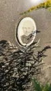 Захоронение ID 1327168
