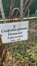 Захоронение ID 1328988