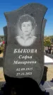 Захоронение ID 1329061