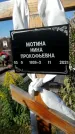 Захоронение ID 1329188
