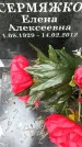 Захоронение ID 1329347