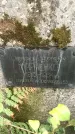 Захоронение ID 1329348