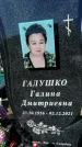 Захоронение ID 1329687