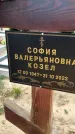 Захоронение ID 1329714