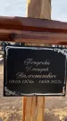 Захоронение ID 1330247