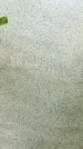 Захоронение ID 1330789