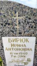 Захоронение ID 1330833
