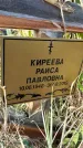 Захоронение ID 1330943