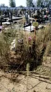 Захоронение ID 1331282