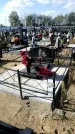 Захоронение ID 1331361