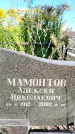 Захоронение ID 1331487