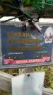 Захоронение ID 1331519