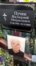 Захоронение ID 1331565