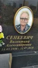 Захоронение ID 1331580