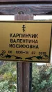 Захоронение ID 1331581
