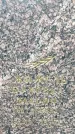 Захоронение ID 1331754