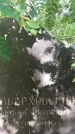 Захоронение ID 1331897