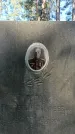 Захоронение ID 1331908