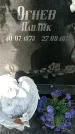 Захоронение ID 1331951