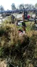 Захоронение ID 1332206