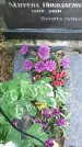 Захоронение ID 1332266