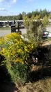 Захоронение ID 1332395