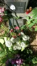 Захоронение ID 1332456