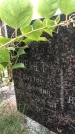 Захоронение ID 1332493