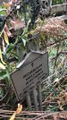 Захоронение ID 1332593