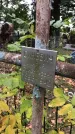 Захоронение ID 1332849