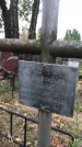 Захоронение ID 1332973
