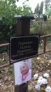 Захоронение ID 1333004