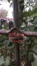 Захоронение ID 1333022