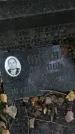 Захоронение ID 1333037