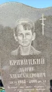 Захоронение ID 1333531