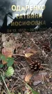 Захоронение ID 1333821